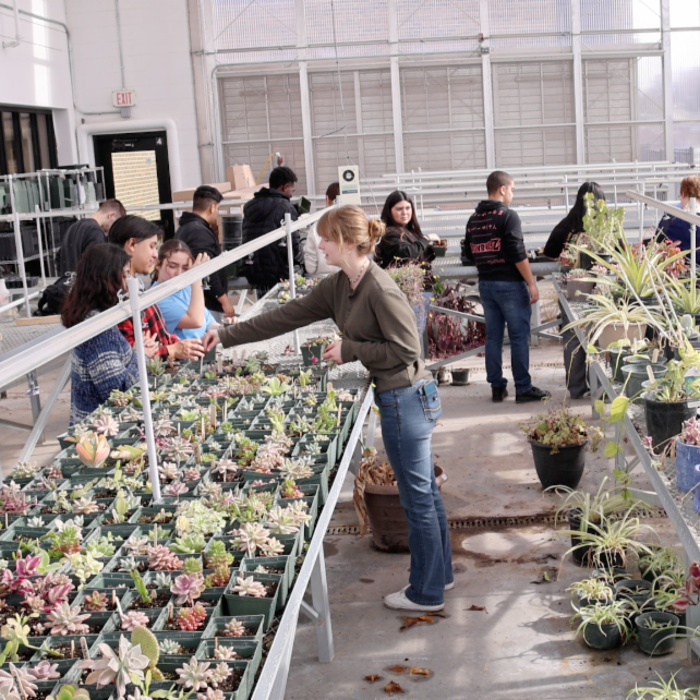 Students work in the Agriculture area at Bryan High